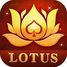 fan rummy download